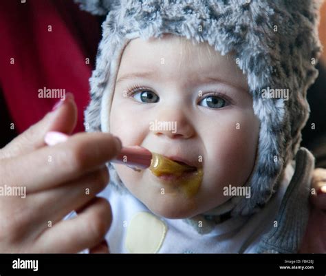 Can Baby Eat Dried Scallop Porridge at Janet Wall blog
