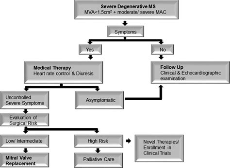 Degenerative Mitral Stenosis | Circulation