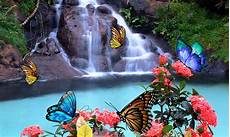 3d Live Wallpapers For Android by 3d Butterfly Live Wallpaper For Android Apk 3d Live Wallpapers For Android