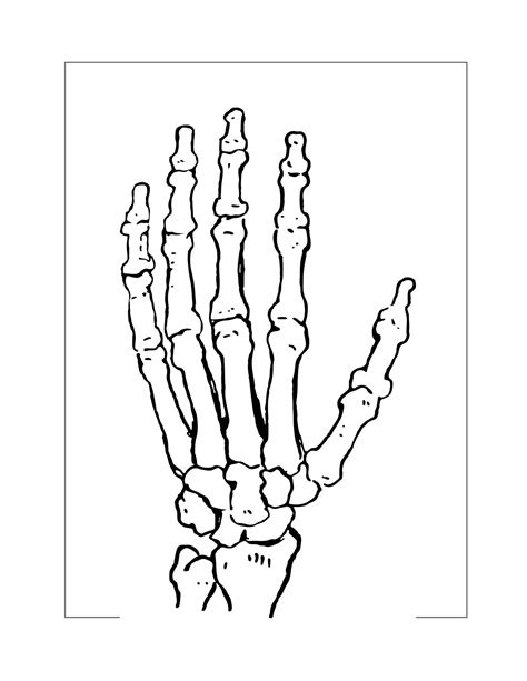 Skeleton Hand Coloring Page