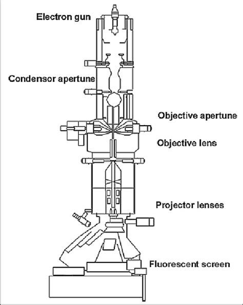 Electron Microscope Drawing 的图像结果