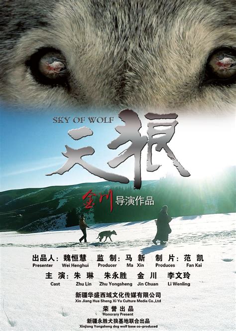 天狼(sky of wolf)-电影-腾讯视频