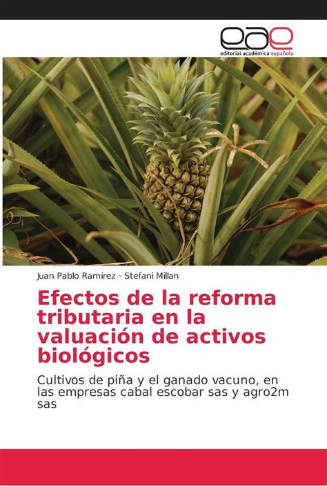 Buy Efectos de la reforma tributaria en la valuación de activos ...