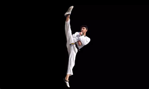 India and Martial Arts: Systems, Traditions and Standings