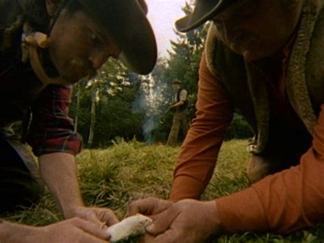 Monty Python Fish License 的图像结果