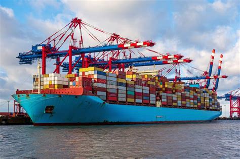 Import Export 的图像结果