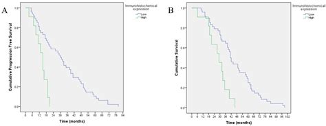 Clinical Significance of the Histone Deacetylase 2 (HDAC-2) Expression ...