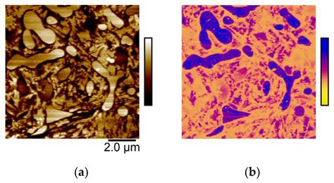 Corrosion Initiation and Propagation on Carburized Martensitic ...
