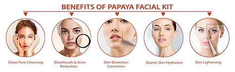 NutriGlow Papaya Fruit Facial Kit 6-Pieces Skin Care Set (250gm+10ml ...