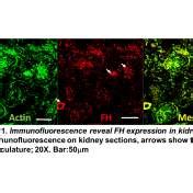 Project Portal - Experiential Learning Network - University at Buffalo