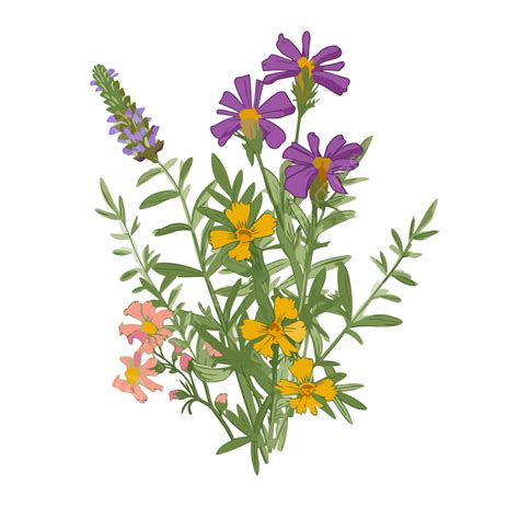 Wild Flowers Transparent Background Watercolor Wild Flowers Poppies