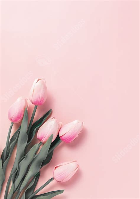 Plant In The Color Of Rose Pink Page Border Background Word Template ...