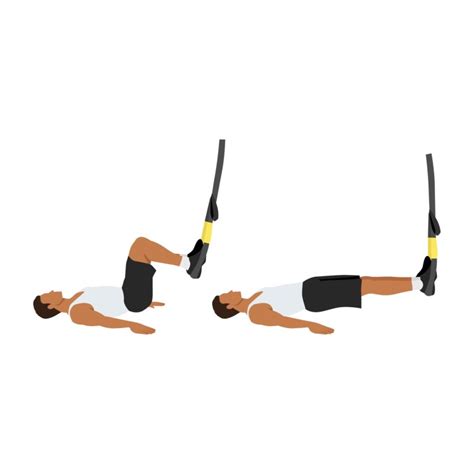 TRX Leg Curl 的图像结果