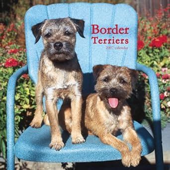 Border Terriers Calendar 2007 : BROWNTROUT: Amazon.in: Books