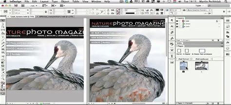 Adobe InDesign Features 的图像结果