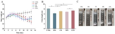 Effect of the Combination of Clostridium butyricum and Mycelium of ...