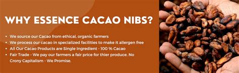 Essence Nutrition Unsweetened Cacao Nibs (250 Grams) - Imported from ...