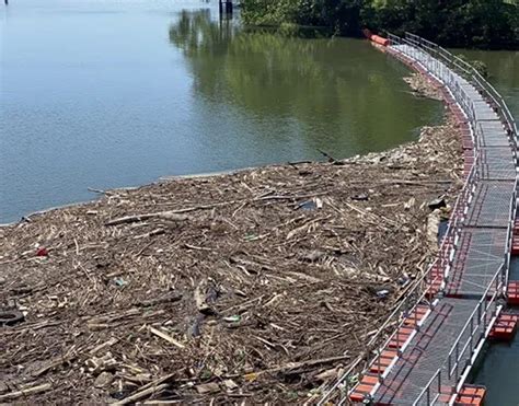 Floating Debris Barrier Systems | Protect Hydropower & Dams