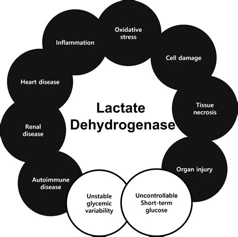 Frontiers | Is the level of serum lactate dehydrogenase a potential ...