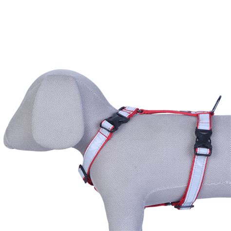 Reflective H Dog Harness – Safe, Adjustable & Comfortable Night Harnes ...