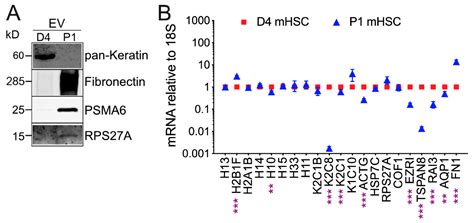 Dynamic Changes in Function and Proteomic Composition of Extracellular ...
