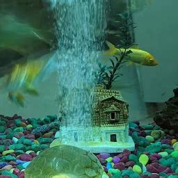 Jaipur Club Limited - Club - Jaipur - Rajasthan | Yappe.in