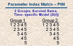 How to Use Program Mark 的图像结果