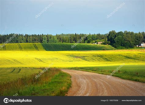 Gravel road in agricultural crop fields Stock Photo by ©alex.stemmer 169375056