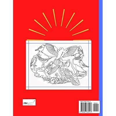 Buy A Walk in the Woods Colouring Book: Take a tour of the woods by ...