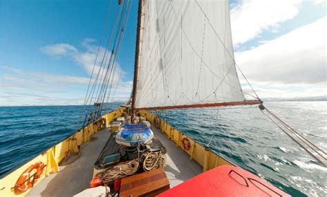 Expedition Voyages - Antarctica Cruise - Norway Cruise - Arctic Cruise