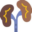 Kidneys - Free medical icons