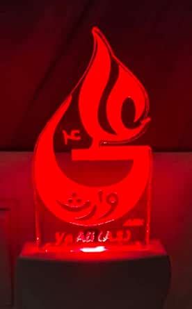 Ya Ali Multi Color Changing AC Adapter Night Lamp-PID43330 : Amazon.in ...