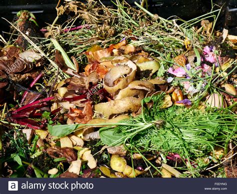 Food Waste 的图像结果