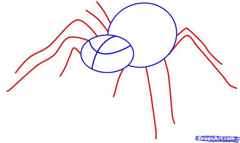 Easy Spider Drawing at PaintingValley.com | Explore collection of Easy ...