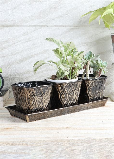 Get Black & Gold Metal Table Planters With Tray Set Of 4 at ₹ 899 | LBB ...
