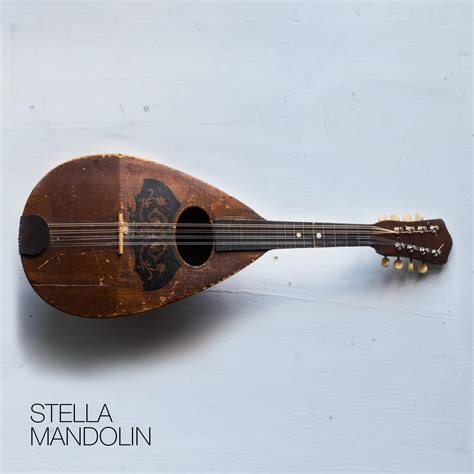 Mandolin Art
