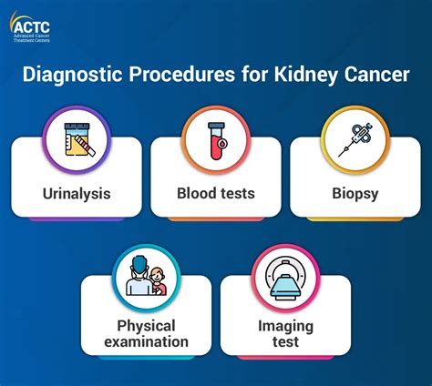 Kidney Cancer: Diagnosis, Stages & Treatment | ACTC