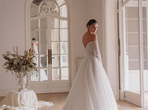 Merrit Cable Model 的图像结果