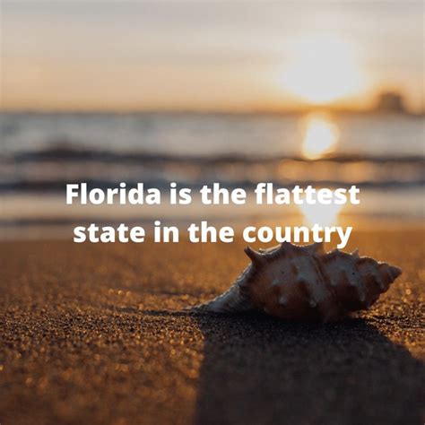 Florida Fun Facts - Florida Adventure Map