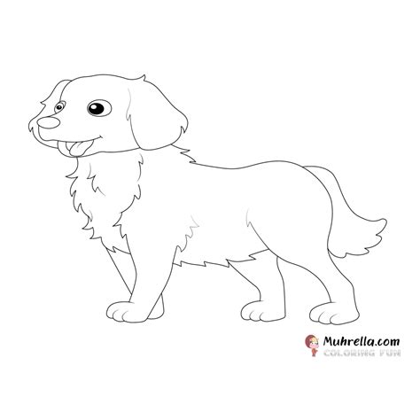 Golden Retriever Coloring Page