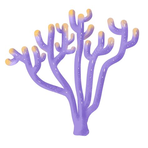 Corals PNG, Vector, PSD, and Clipart With Transparent Background for ...