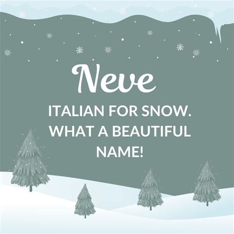 Winter Inspired Pet Names — Life With Eileen