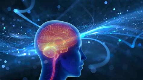 Are visions before death just brain signals? The mystery of near-death ...