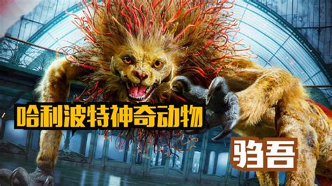关于《神奇动物在哪里2》中的中国神兽“驺吾”，你需要知道这些