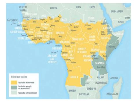 Yellow fever.pptx(Epidemiology,Clinical features and prevention) | PPTX