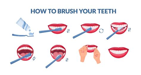Premium Vector | How to brush your teeth step by step instruction