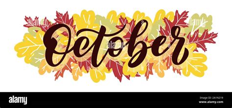 October Lettering Typography with Autumn Maple Leaf on White Isolated ...