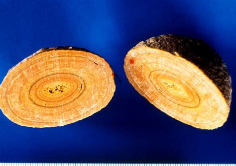 Bildergebnis für harnstickstoff