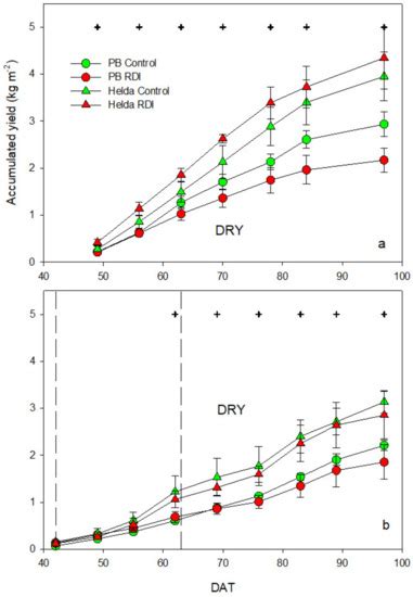 Effect of Water Stress on the Yield of Indeterminate-Growth Green Bean ...