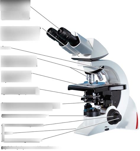 Microscope Labeled 的图像结果